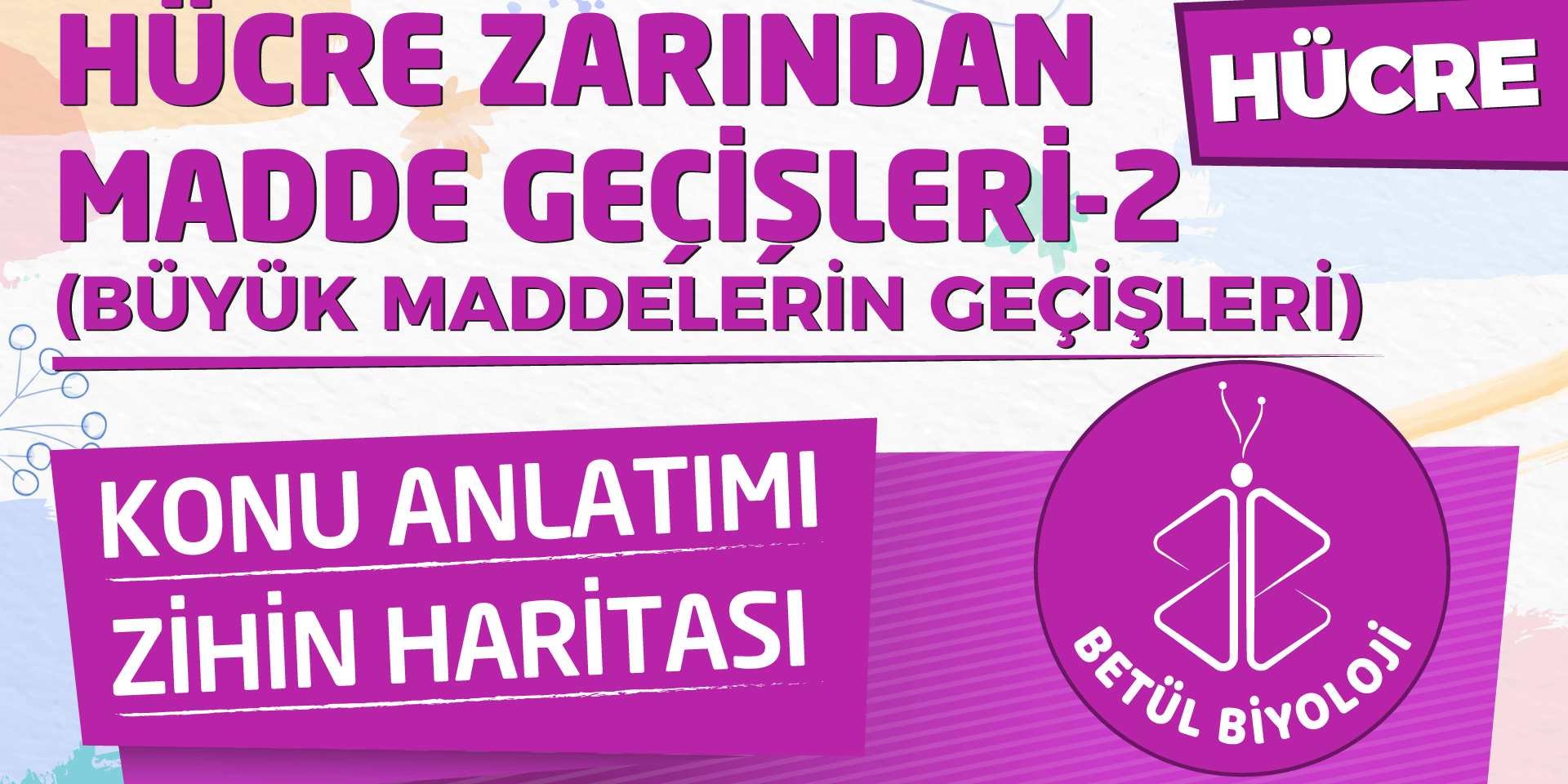 hücre_zarından_madde_gecisleri