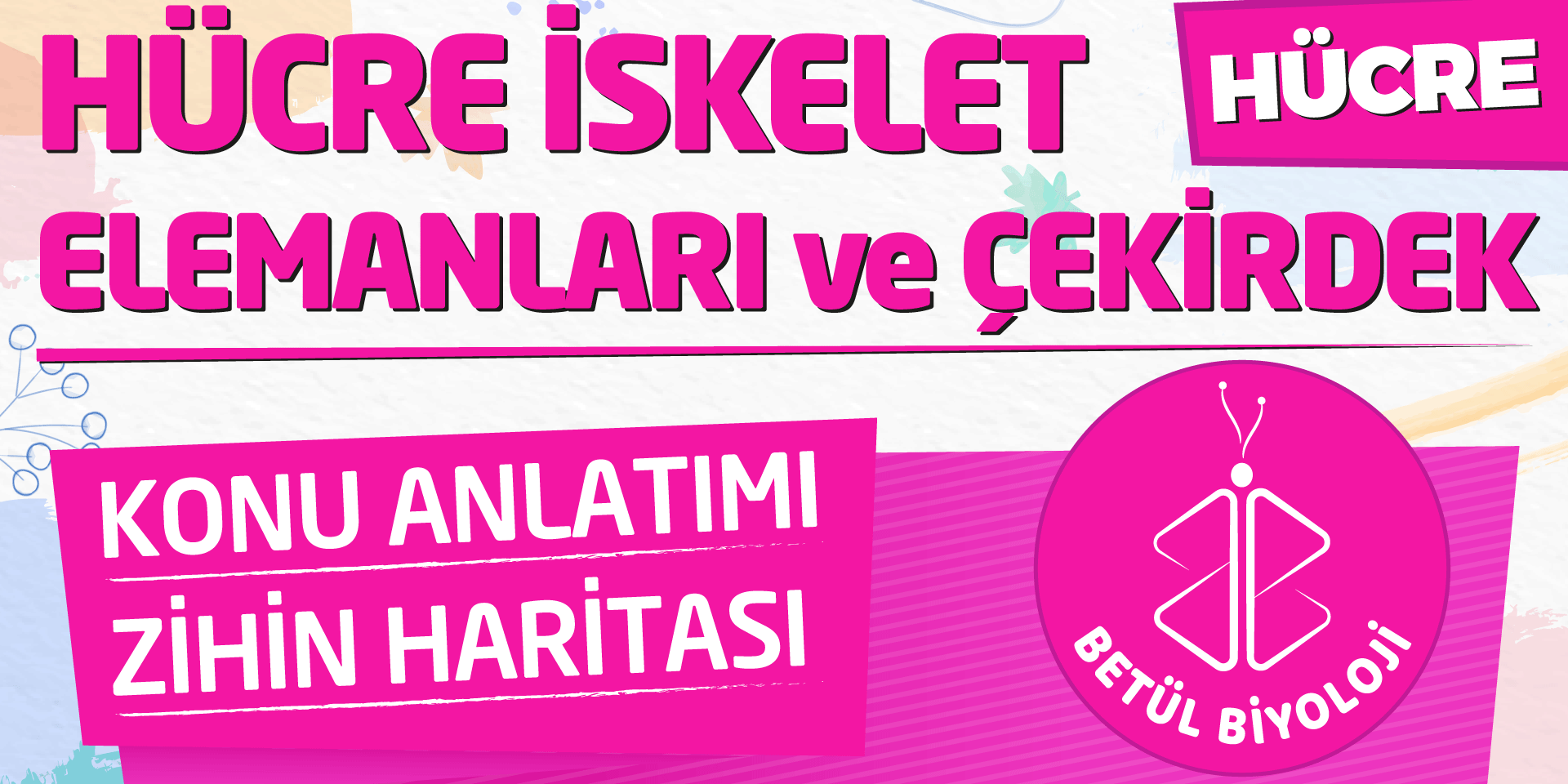 hücre_iskelet_elemanları_çekirdek