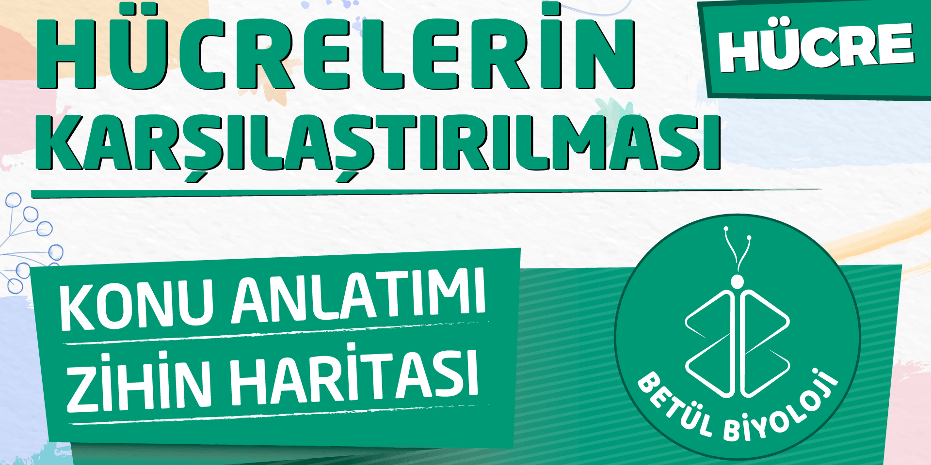 hücrelerin_karşılaştırılması