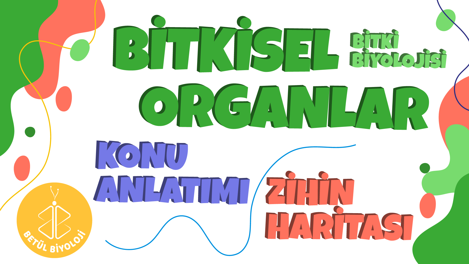 bitkisel_organlar_konu_anlatımı_biyoloji