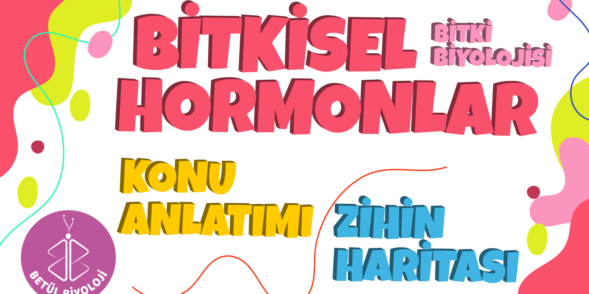 bitkisel_hormonlar_konu_anlatımı_biyoloji_özet